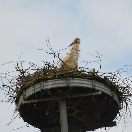 Storchennest An Der Spree In Radinkendorf Apartman Beeskow