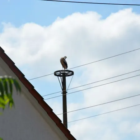 Storchennest An Der Spree In Radinkendorf