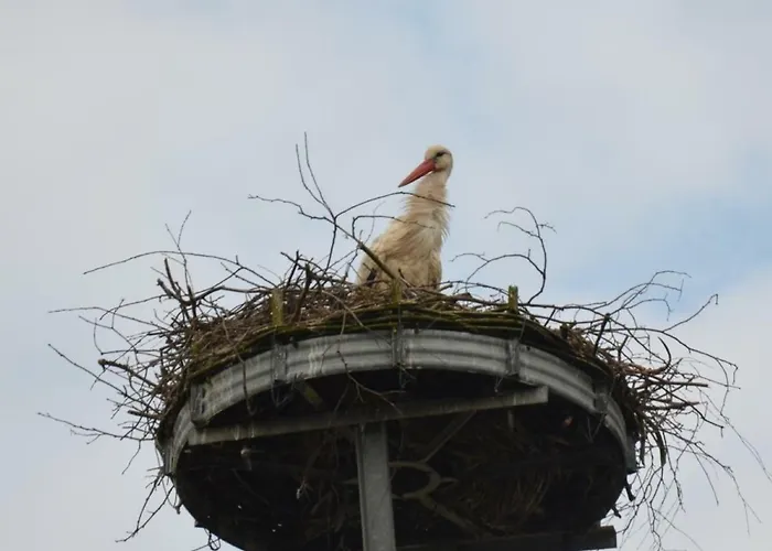 Storchennest An Der Spree In Radinkendorf شقة بيسكو